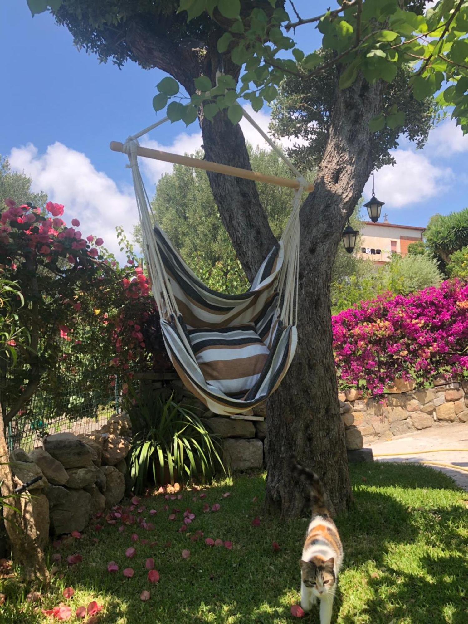 Il Vicolo Palinuro Vila Pisciotta Exterior foto